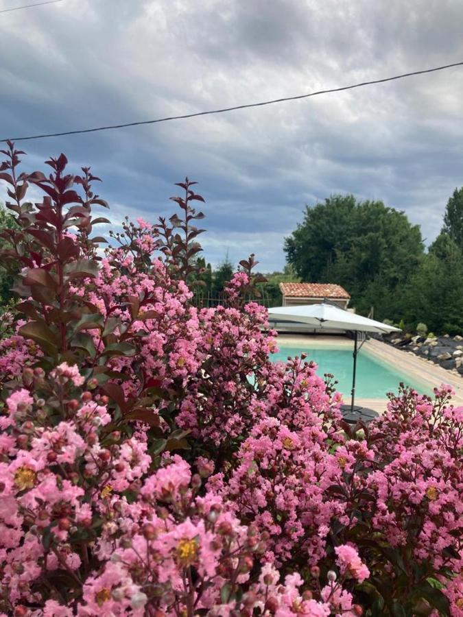 Gite Abeille-Soleil Saint-Nicolas-de-la-Grave Kültér fotó