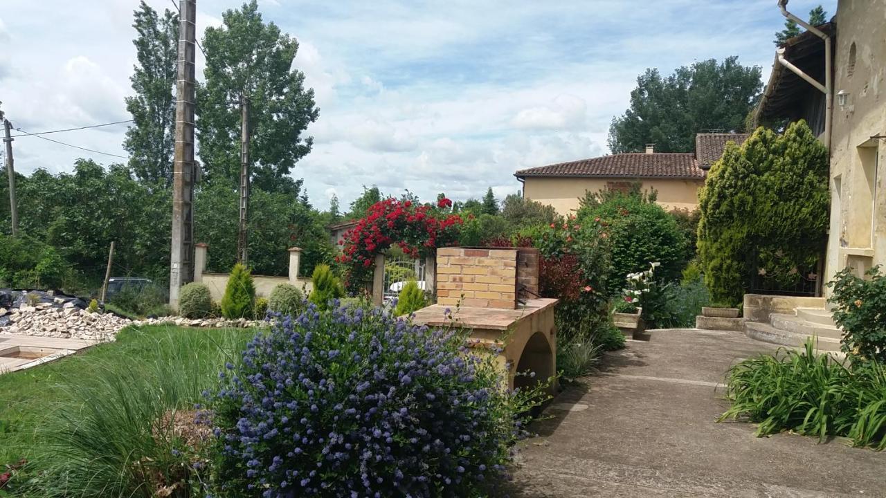 Gite Abeille-Soleil Saint-Nicolas-de-la-Grave Kültér fotó